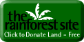 www.therainforestsite.com